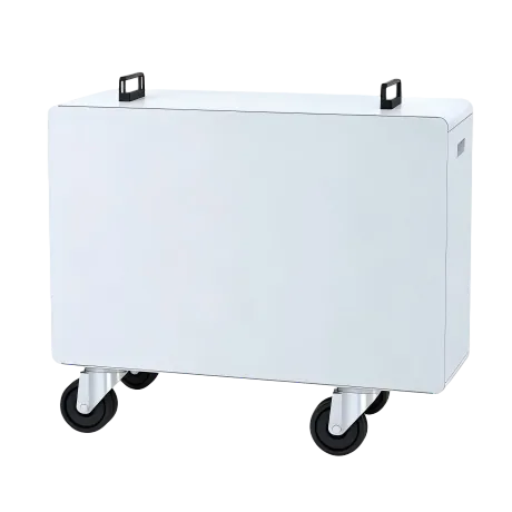 Roller-Type Li-ion Battery Module