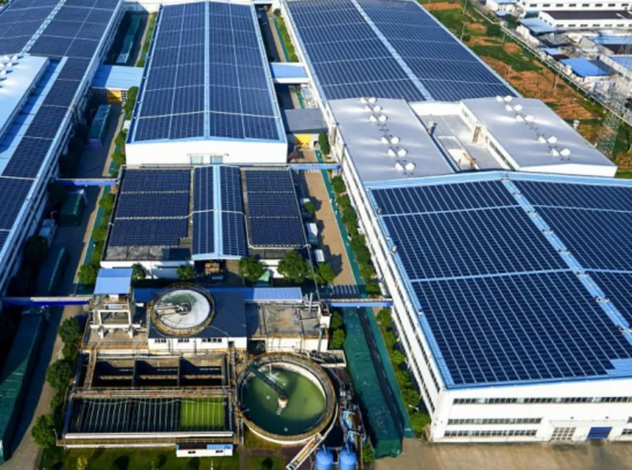 Zhongchi Group Sustainability Report